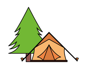 tent camping tree pine
