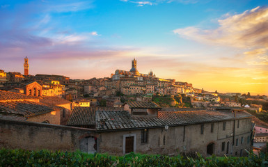 Fototapeta na wymiar Siena sunset panoramic skyline. Mangia tower and cathedral duomo. Tuscany,