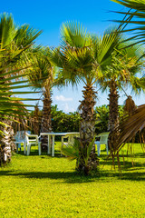 Wonderful garden with palm trees and comfortable armchairs used by tourists to take a relaxing aperitif.