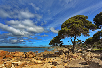 Fototapeta na wymiar Incredible beauty of Bunker Bay on Cape Naturaliste