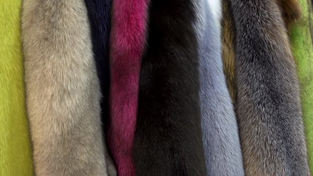 Row of mink furs of bright colors as a background. HDvideo