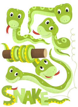 cartoon scene with set of snakes on white background with sign name of animal - illustration for children