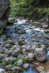 Obraz premium Bicaz Canyon 20