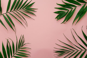 Fototapeta na wymiar Palm leaves on a pink background with a space for a text, flat lay, summer time