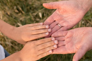hands of the child in the hands of fathers. father and son. the hands of an adult and a child. adult and child trust