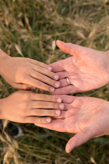 hands of the child in the hands of fathers. father and son. the hands of an adult and a child. adult and child trust