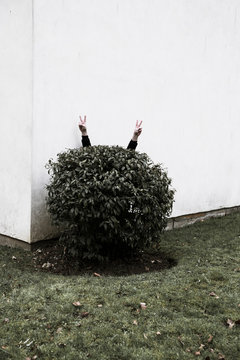 Victoire de la plan&egrave;te