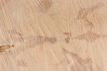 The texture of the end of the tree. Saw cut wood close up. Rough-wood on floors. Wood background.