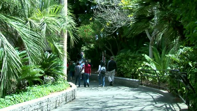 San Diego Zoo Family-zoom