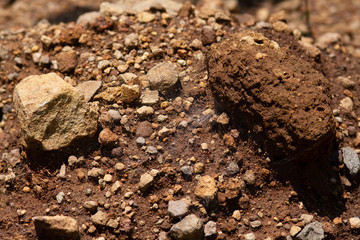 Spring Time here, and time to blossom flower and butterfly collect nectar and some fruit to grow