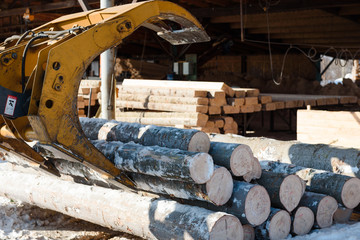 Fototapeta premium Tractor loads logs. Logs taken away. The manipulator loads the logs. Trees sawed.