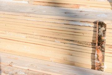 Background lumber. Boards close. Cut trees. The trees in the boards.