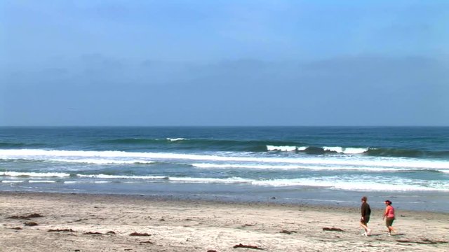 Encinitas Beach-ws