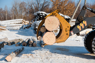 Shipping logs on a special machine. Harvest forest in winter. A sawn forest in the snow.