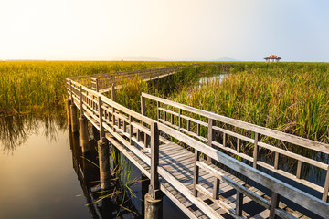 Fototapeta premium Beautiful landscape of wooden bridge walkway in swamp with grass field with blue sky mountain range background in Khao Sam Roi Yot National Park, Kui Buri District, Prachuap Khiri Khan, Thailand