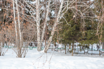 Urban winter landscape of Russia. City under the snow. Winter on the streets. City in Siberia.