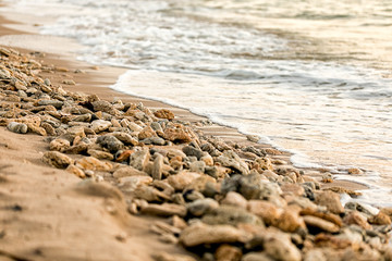 florida beaches