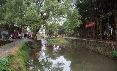 Fototapeta premium Li keng scenery in wuyuan, jiangxi, China