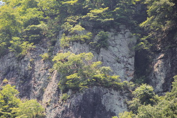 岩肌が露出した山(群馬県)