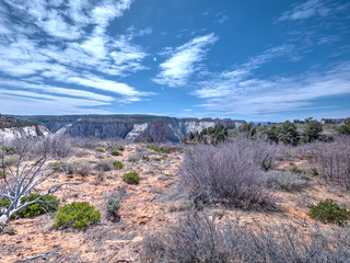 Hiking the top of Zion Canyon