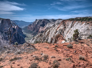 Observation Point in Zion Canyon