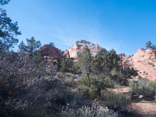Zion Canyon