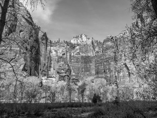 Zion Canyon in Black and White