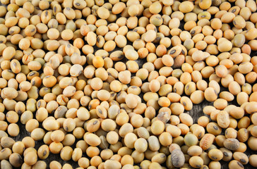 soybeans or soya beans grain seed on rustic wood background