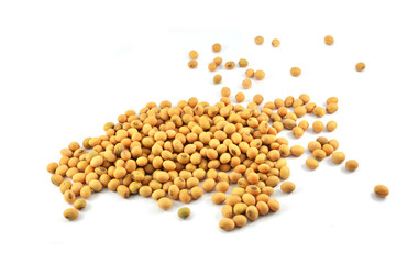 soybeans or soya beans grain seed on white background