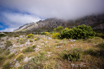 Fototapeta na wymiar El Torcal Antequera National Park Malaga