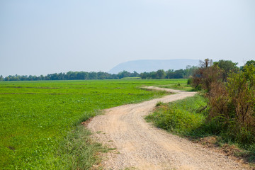 road field countryside