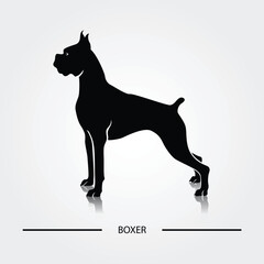 Boxer dog silhouette. Black silhouettes of breeds of dogs.
