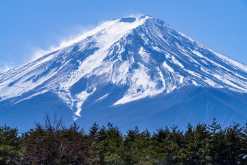 Fototapeta na wymiar Fuji with Snowstorm and Green Woods