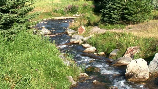 Johnson Lake Stream-zoom