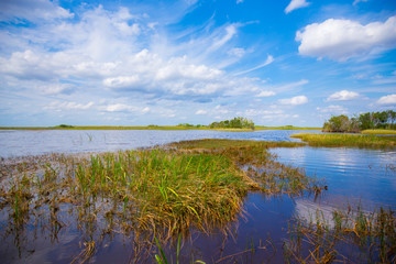 Everglades National Park. Swamps of Florida. Big Cypress National Preserve. Florida. USA.