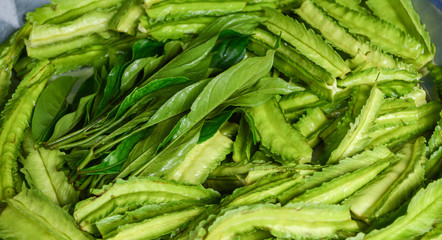 Fresh green winged bean vegetable background
