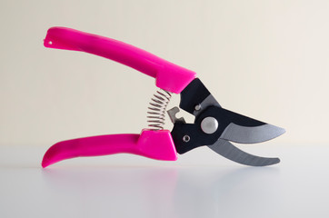 pruning shears in light background - 249441041
