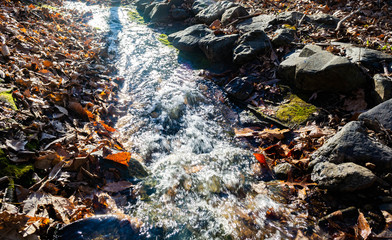 Water flowing down an autumn brook