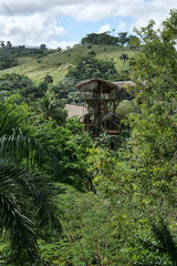 Zip line tower in the jungle