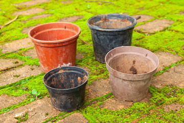 Fototapeta premium Colored empty flowers pot for gardening - mud dirt used
