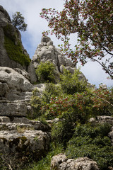 Fototapeta na wymiar El Torcal Antequera National Park Malaga