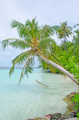 The landscape the island of Biyadhoo Maldives the beach with white sand