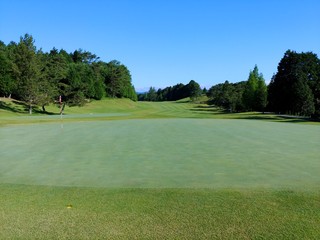 緑の中にあるゴルフ場