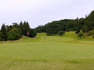 Obraz premium 緑の中にあるゴルフ場