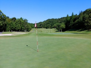 緑の中にあるゴルフ場