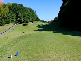 Obraz premium 緑の中にあるゴルフ場