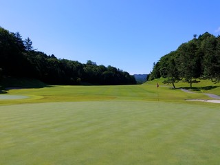 緑の中にあるゴルフ場