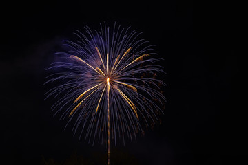 Fire Flower at Night
