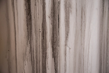 rustic vintage wood panels