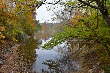 Fototapeta na wymiar autumn in the park by the lakeshore